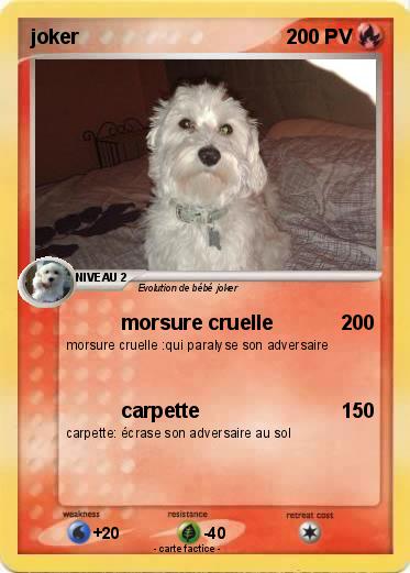 Pokemon joker