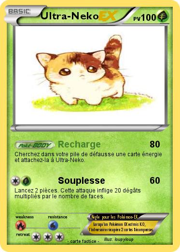 Pokemon Ultra-Neko