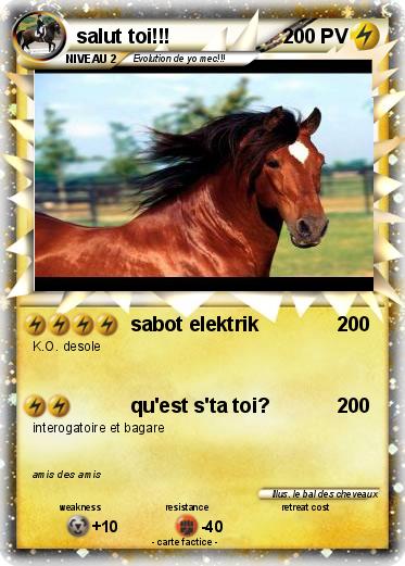 Pokemon salut toi!!!