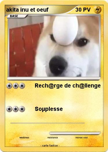 Pokemon akita inu et oeuf