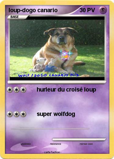 Pokemon loup-dogo canario