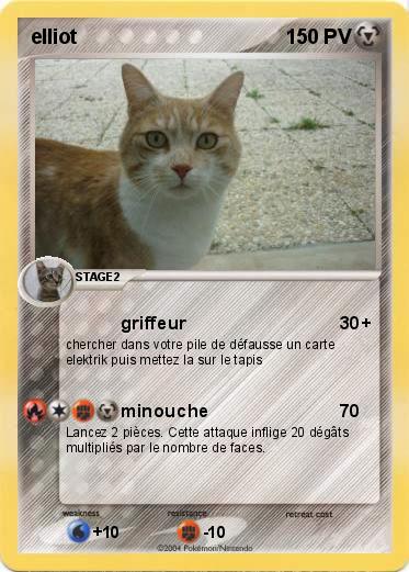 Pokemon elliot