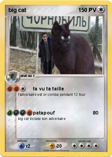 Pokemon big cat