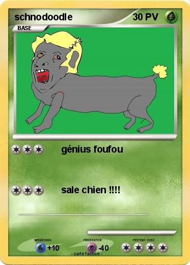 Pokemon schnodoodle