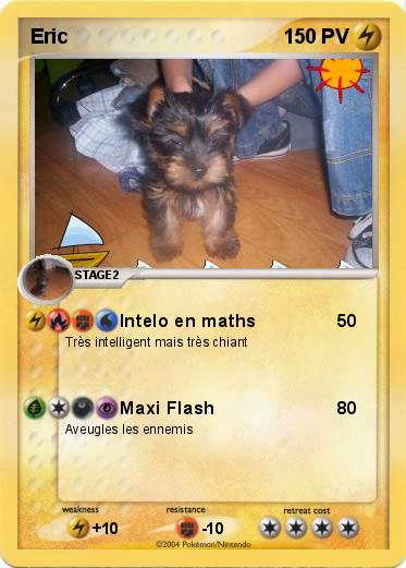 Pokemon Eric