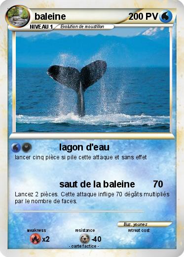 Pokemon baleine