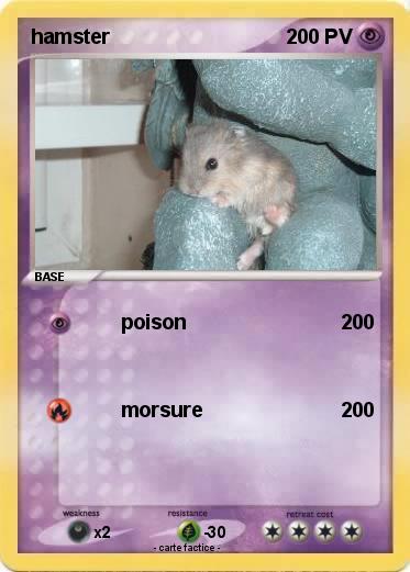Pokemon hamster