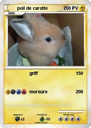 Pokemon poil de carotte