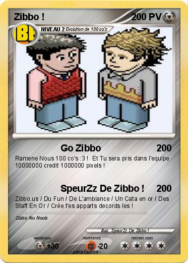 Pokemon Zibbo !