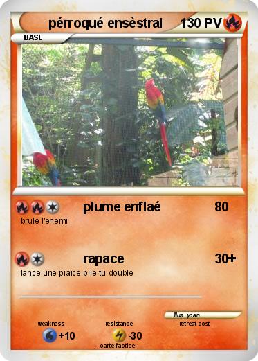 Pokemon pérroqué ensèstral