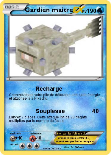 Pokemon Gardien maitre