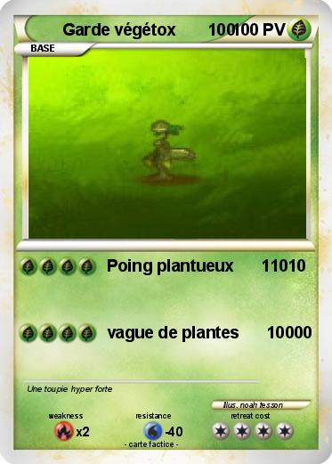 Pokemon Garde végétox       100