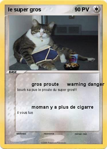 Pokemon le super gros