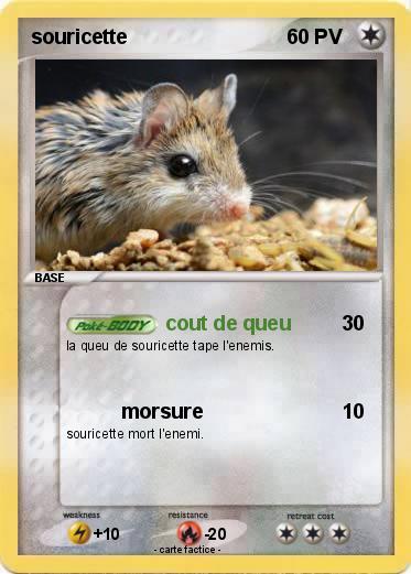 Pokemon souricette