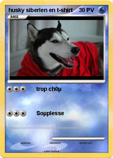 Pokemon husky siberien en t-shirt