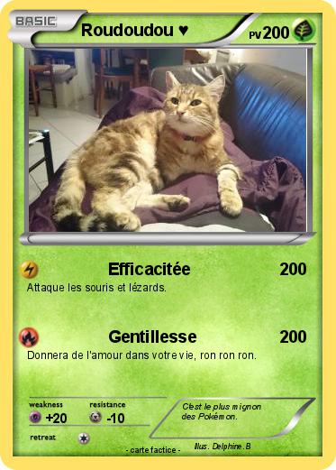 Pokemon Roudoudou ♥