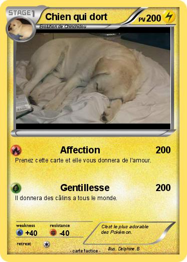 Pokemon Chien qui dort