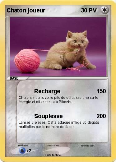 Pokemon Chaton joueur