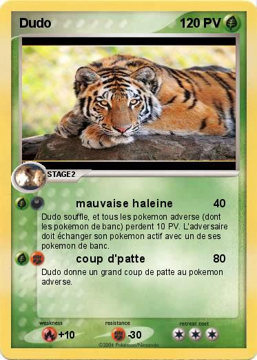 Pokemon Dudo