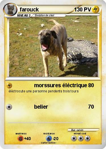 Pokemon farouck
