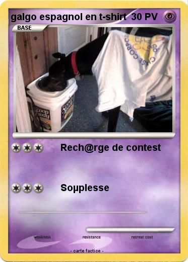 Pokemon galgo espagnol en t-shirt