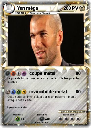 Pokemon Yan méga