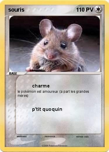 Pokemon souris