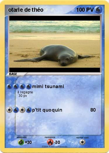Pokemon otarie de théo