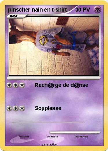 Pokemon pinscher nain en t-shirt