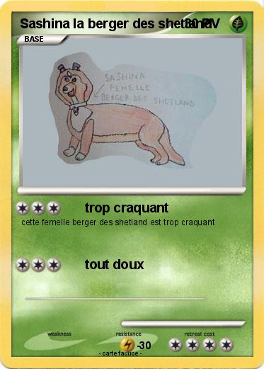 Pokemon Sashina la berger des shetland