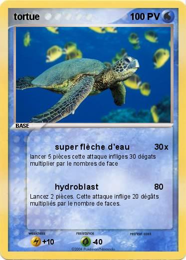 Pokemon tortue