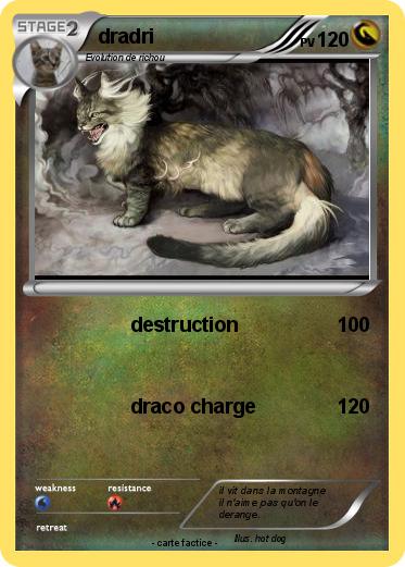 Pokemon dradri