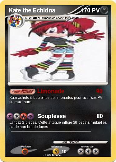 Pokemon Kate the Echidna