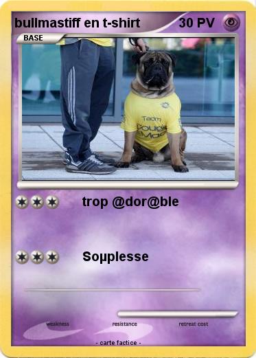 Pokemon bullmastiff en t-shirt