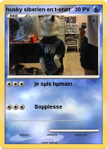 Pokemon husky siberien en t-shirt