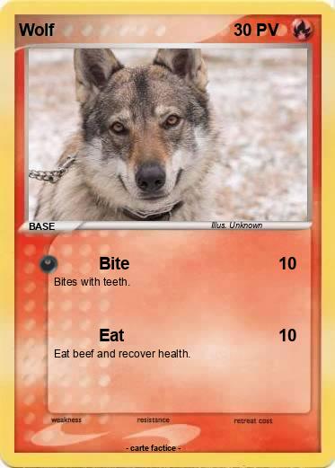 Pokemon Wolf