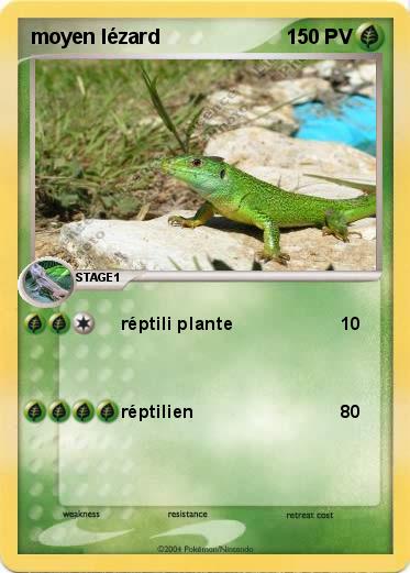 Pokemon moyen lézard