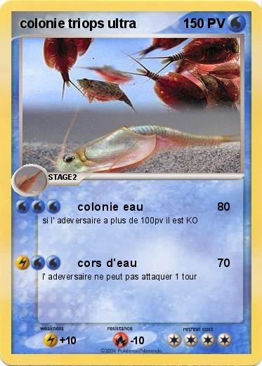 Pokemon colonie triops ultra
