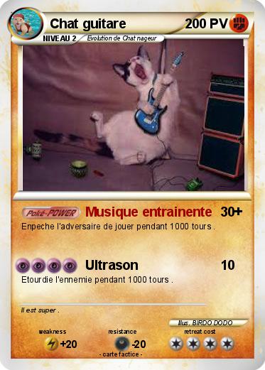 Pokemon Chat guitare