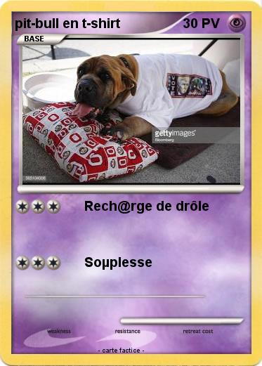Pokemon pit-bull en t-shirt