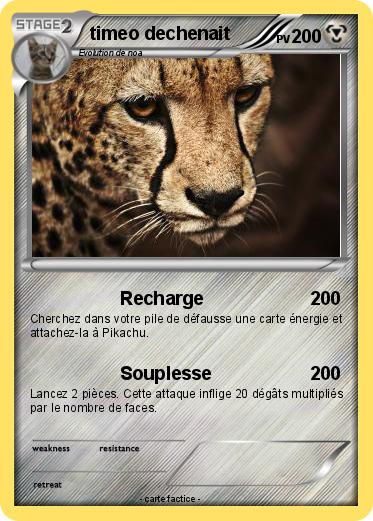 Pokemon timeo dechenait