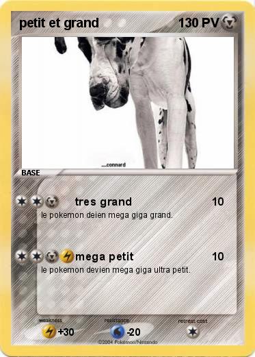 Pokemon petit et grand