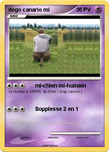 Pokemon dogo canario mi