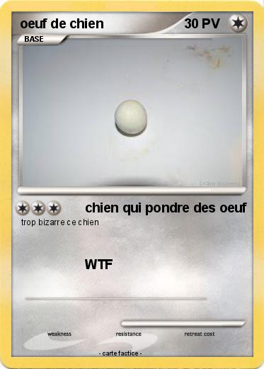 Pokemon oeuf de chien
