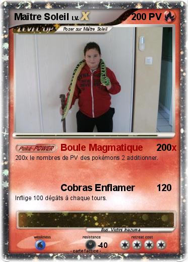 Pokemon Maître Soleil