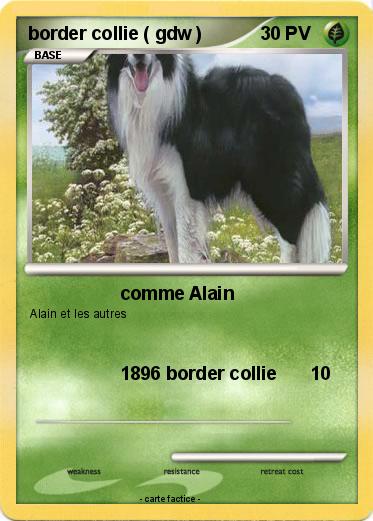 Pokemon border collie ( gdw )
