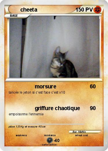 Pokemon cheeta