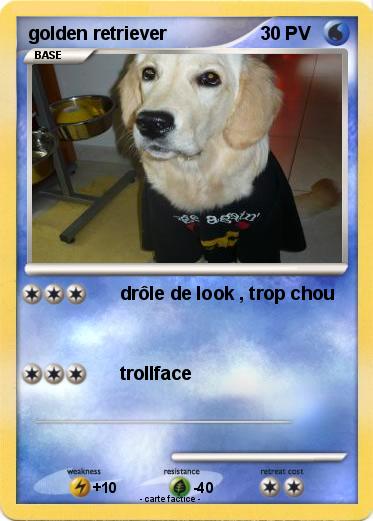 Pokemon golden retriever