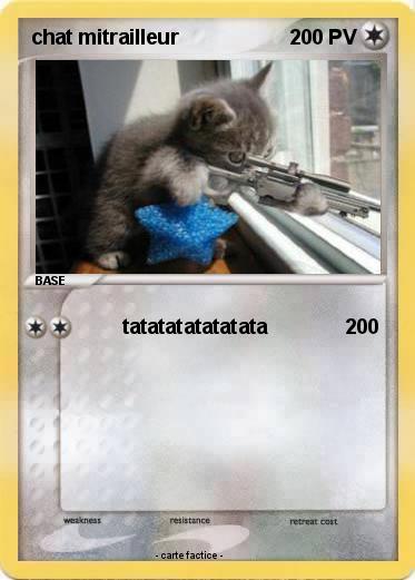 Pokemon chat mitrailleur
