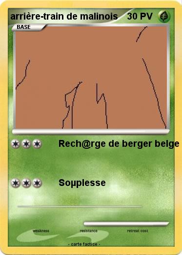 Pokemon arrière-train de malinois